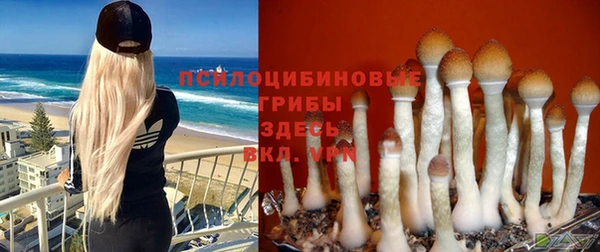 тгк Абинск